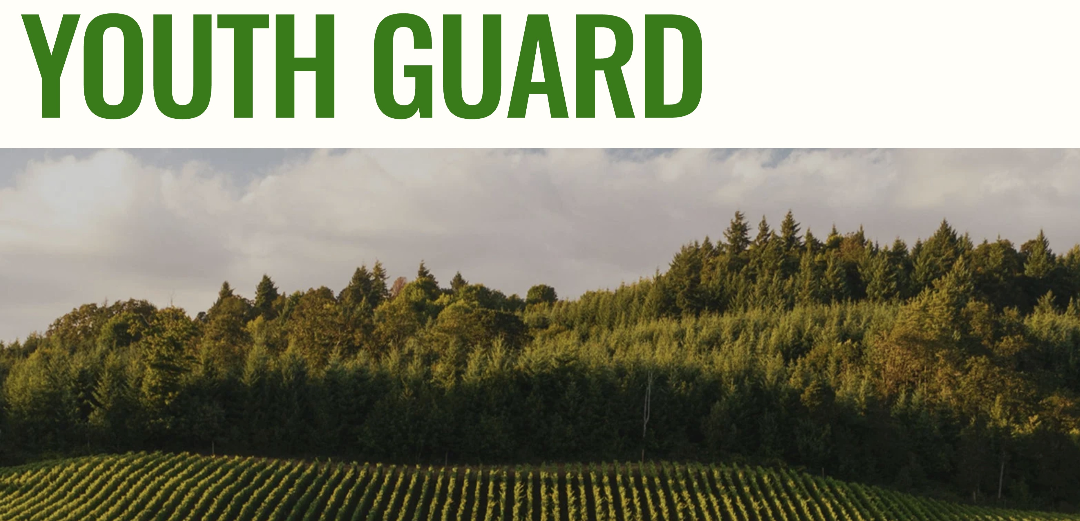 Banner collection: External heading