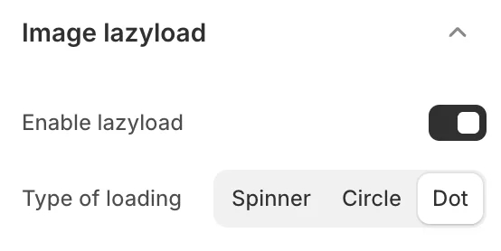 Theme settings image lazyload